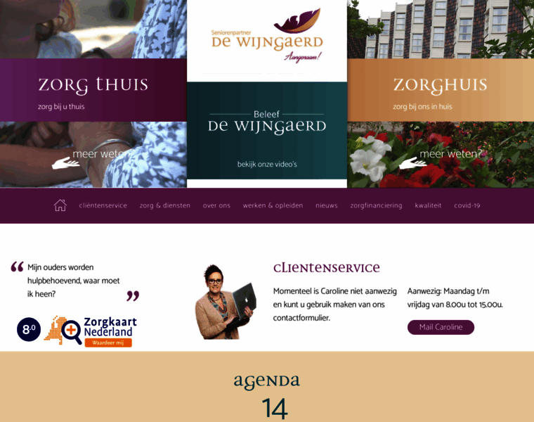 Dewijngaerd.nl thumbnail
