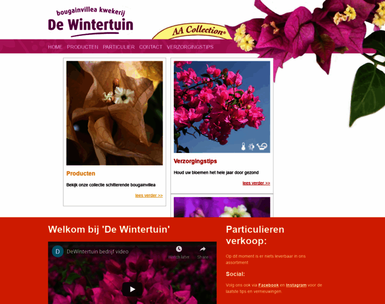 Dewintertuin.nl thumbnail