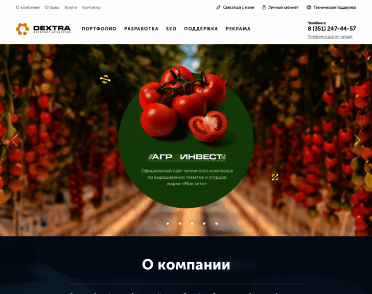 Dextra-test.ru thumbnail