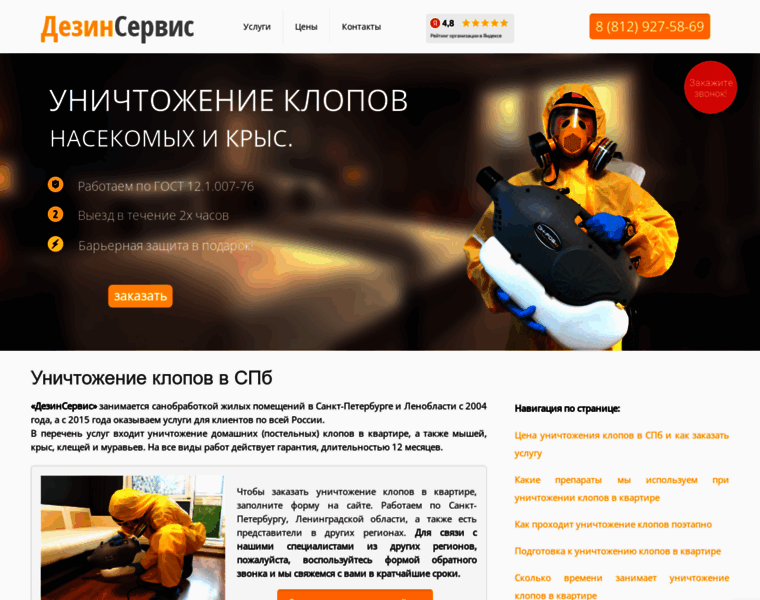 Dezinservice.ru thumbnail