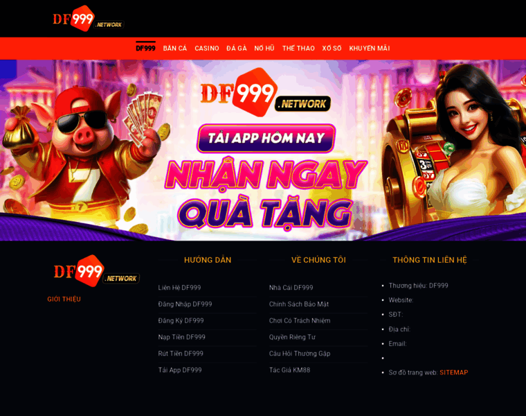 Df999.network thumbnail