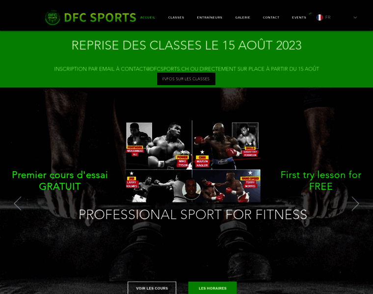 Dfcsports.ch thumbnail