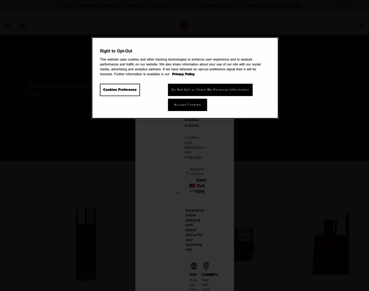 Dfsglobal.cn thumbnail