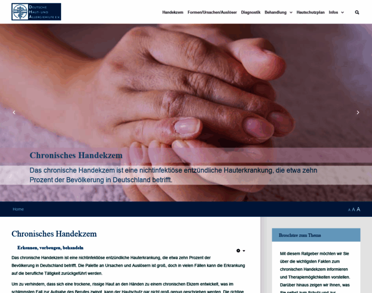 Dha-handekzem.de thumbnail