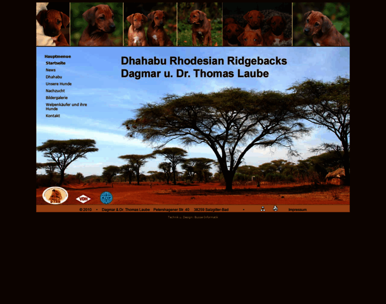 Dhahabu-rhodesian-ridgebacks.de thumbnail