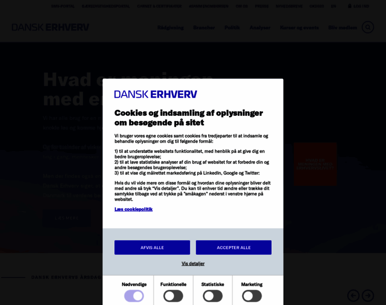 Dhs.dk thumbnail