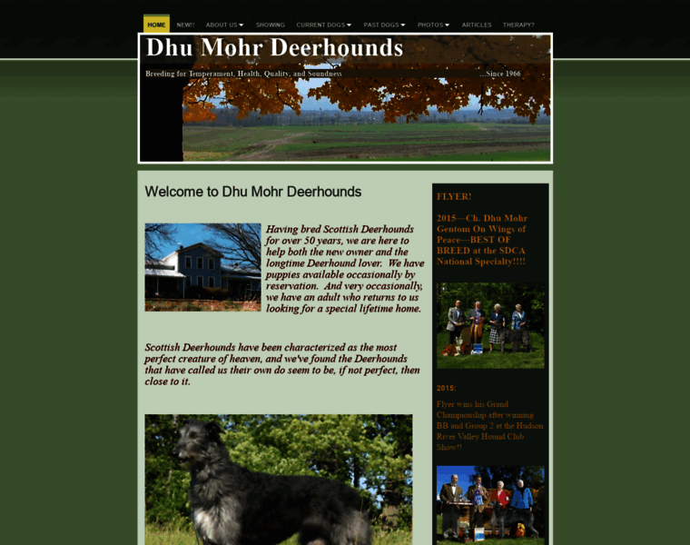Dhumohrdeerhounds.com thumbnail