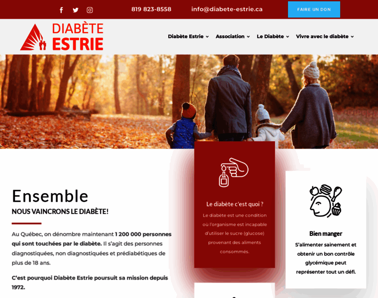 Diabete-estrie.ca thumbnail
