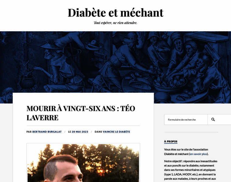 Diabeteetmechant.org thumbnail