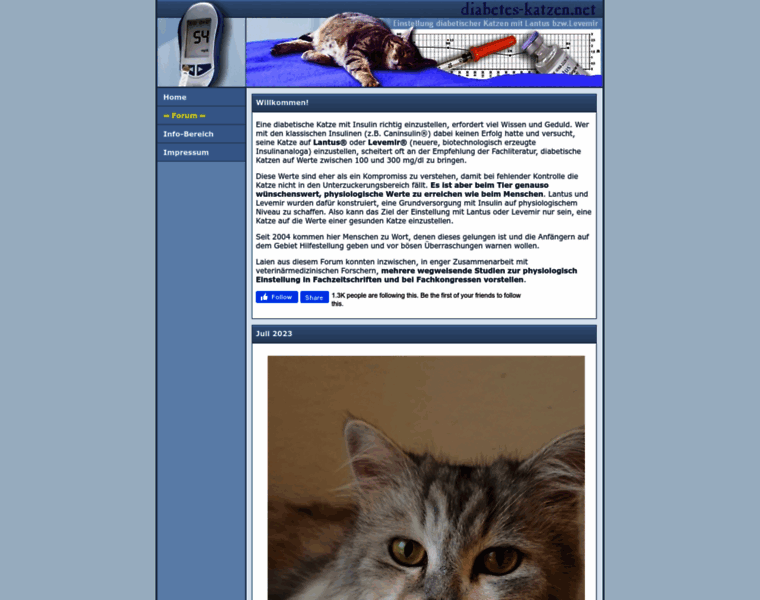 Diabetes-katzen.net thumbnail Diabetes-katzen.net thumbnail