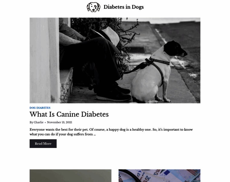 Diabetesindogs.org thumbnail