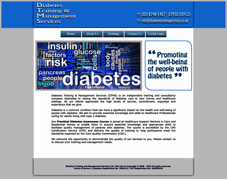 Diabetestrainingservices.co.uk thumbnail