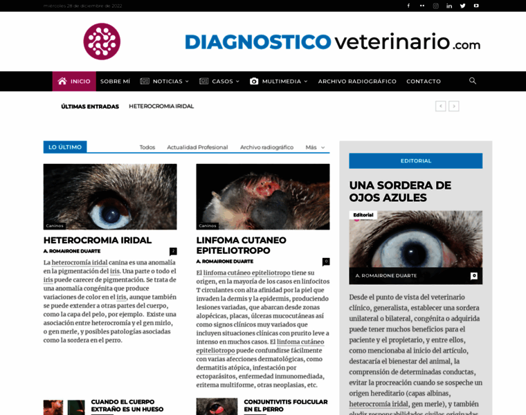 Diagnosticoveterinario.com thumbnail