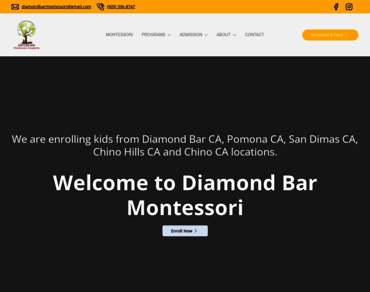 Diamondbarmontessoriacademy.com thumbnail