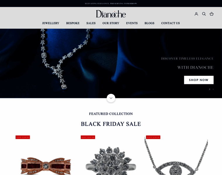 Dianoche.com.sg thumbnail