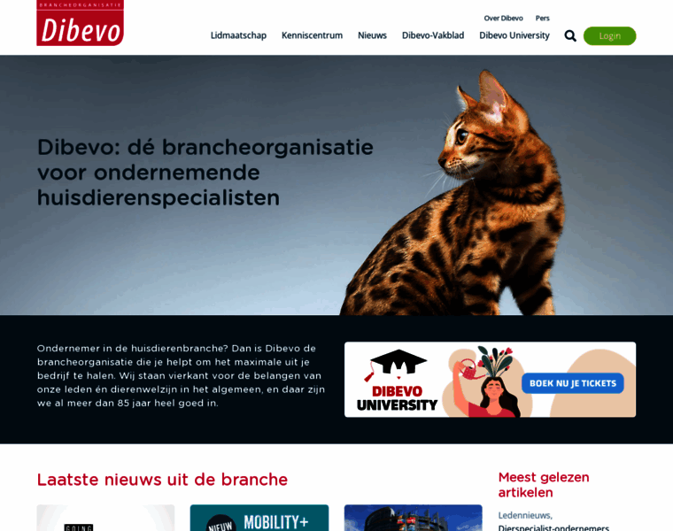 Dibevo.nl thumbnail