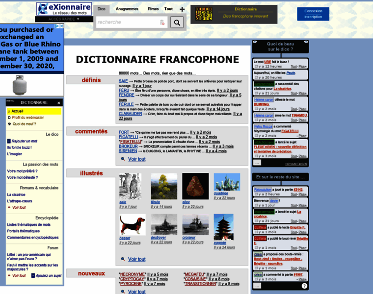 Dictionnaire.exionnaire.com thumbnail