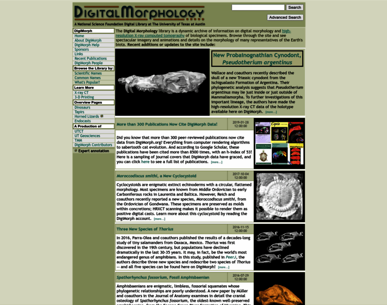 Digimorph.org thumbnail