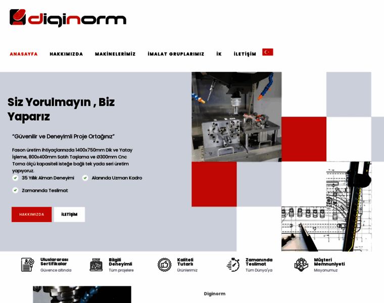 Diginorm.com.tr thumbnail