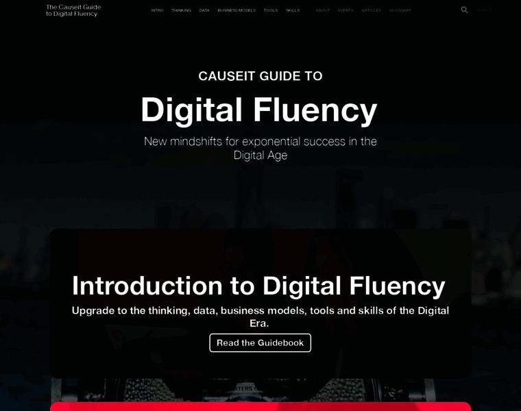 Digitalfluency.guide thumbnail