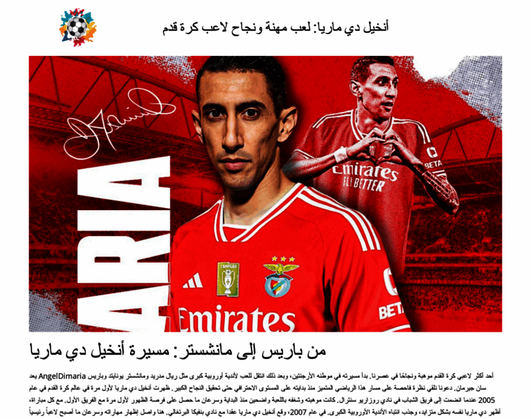 Dimaria-angel-ar.biz thumbnail