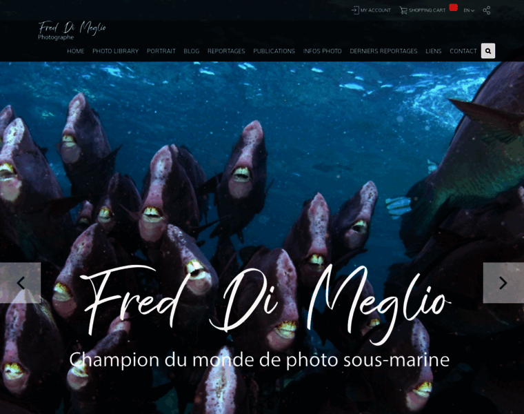 Dimeglio-photo.com thumbnail Dimeglio-photo.com thumbnail