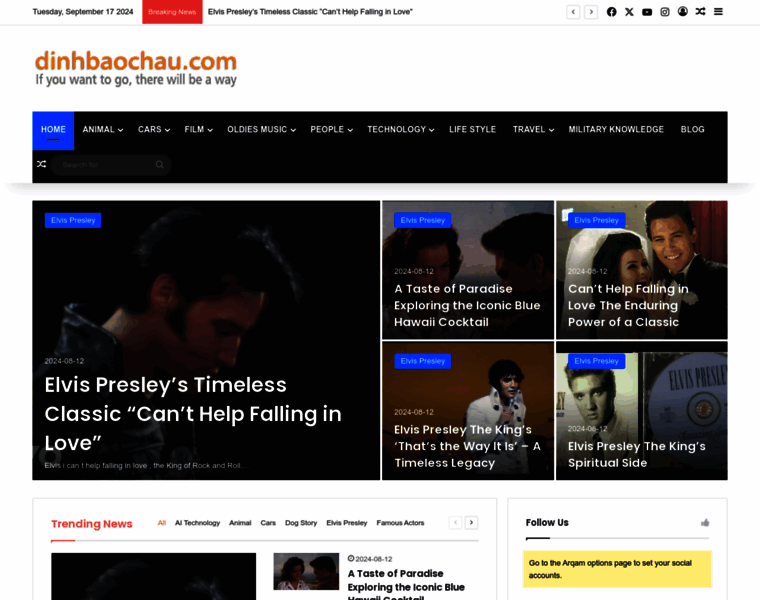 Dinhbaochau.com thumbnail