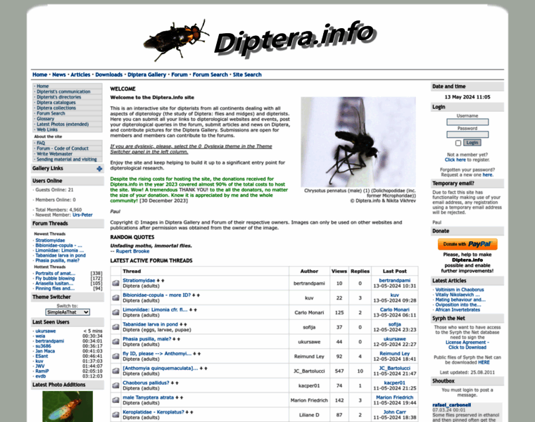 Diptera.info thumbnail