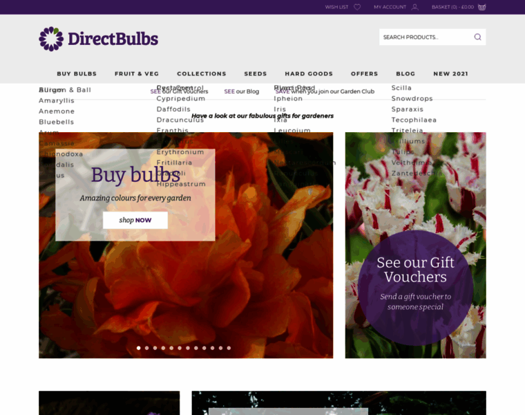 Directbulbs.co.uk thumbnail