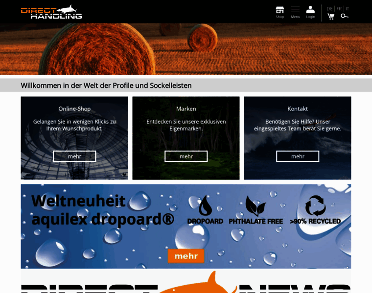 Directhandling.ch thumbnail Directhandling.ch thumbnail