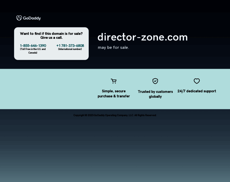 Director-zone.com thumbnail