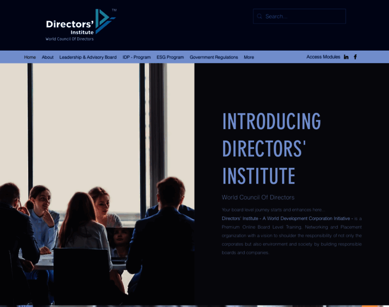 Directors-institute.com thumbnail