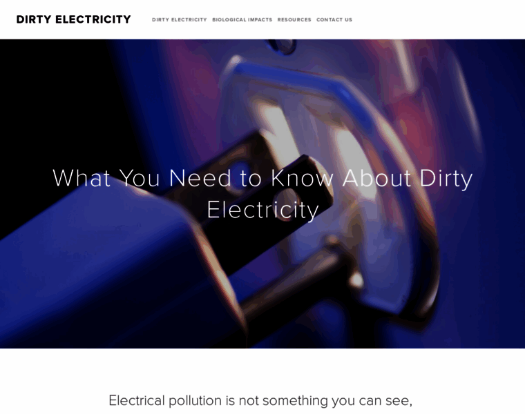 Dirtyelectricity.org thumbnail