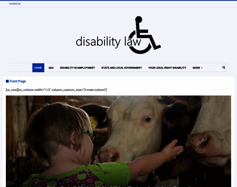 Disabilitylaw.news thumbnail