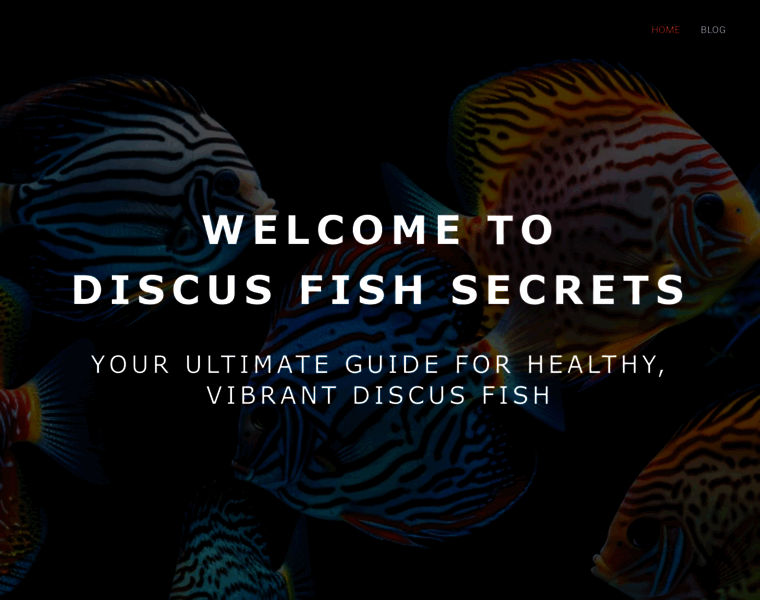 Discus-fish-secrets.com thumbnail