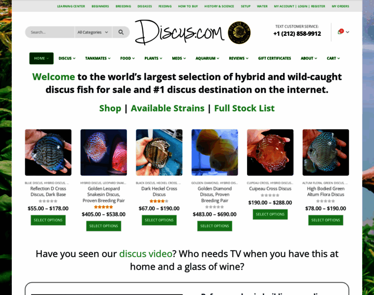 Discusfish.com thumbnail