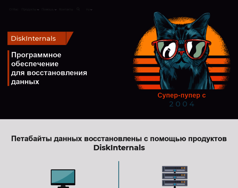 Diskinternals.ru thumbnail