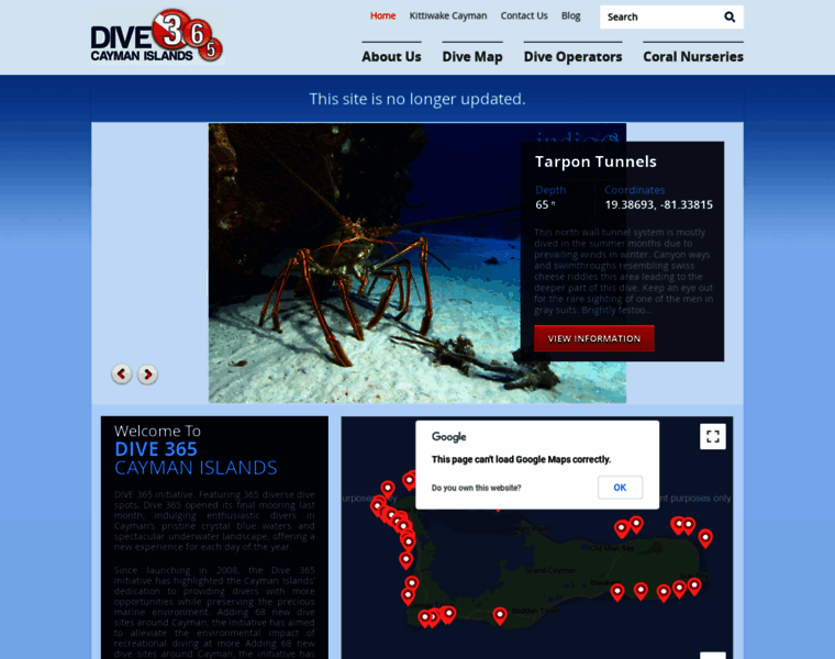 Dive365cayman.com thumbnail