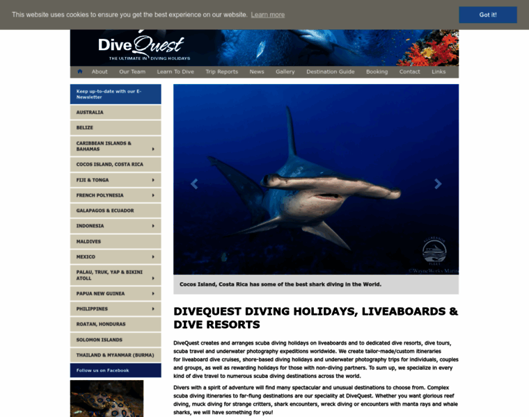 Divequest-divingholidays.com thumbnail