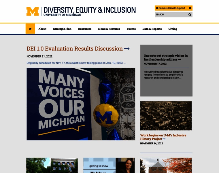 Diversity.umich.edu thumbnail