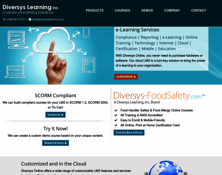 Diversyslearning.com thumbnail
