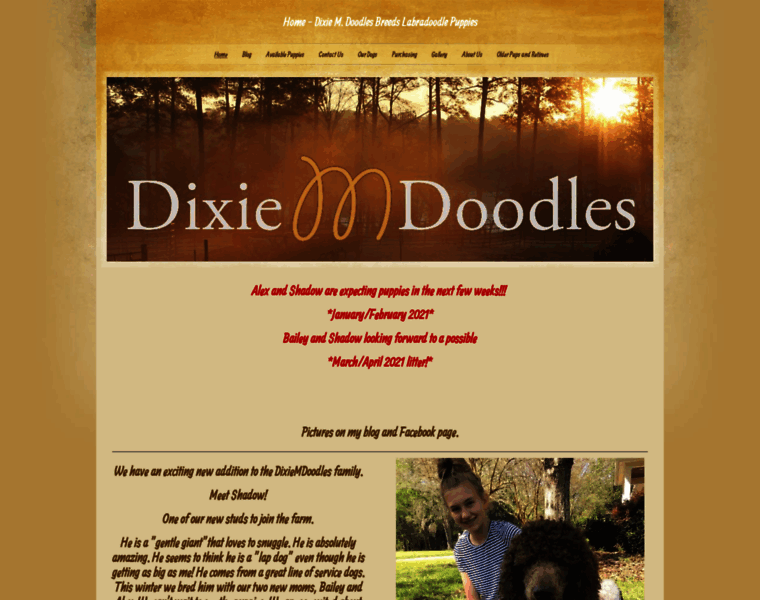 Dixiemdoodles.com thumbnail