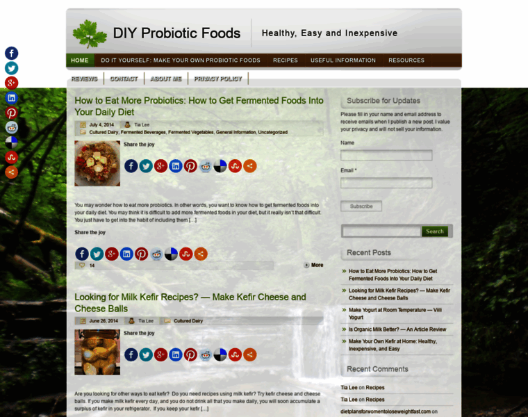 Diyprobioticfoods.com thumbnail