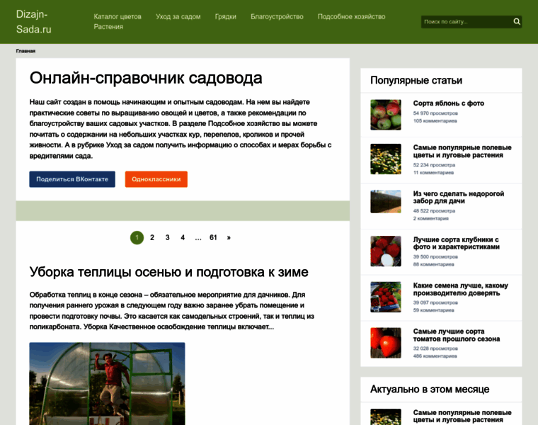 Dizajn-sada.ru thumbnail
