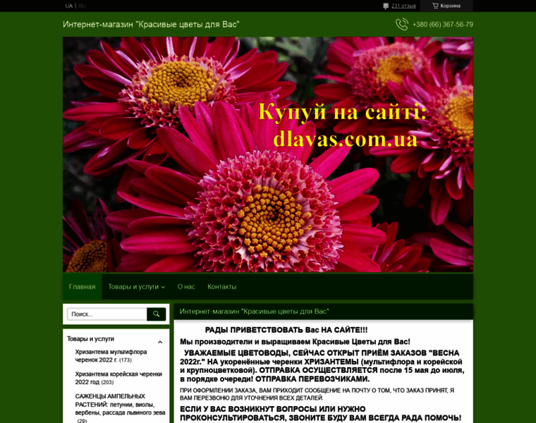 Dlavas.com.ua thumbnail