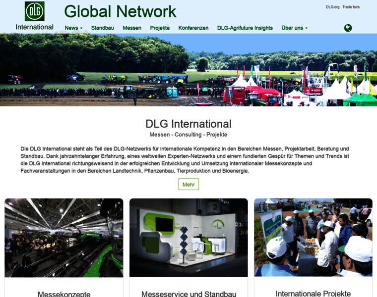 Dlg-international.com thumbnail