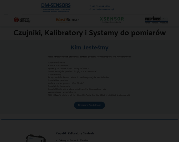 Dm-sensors.pl thumbnail