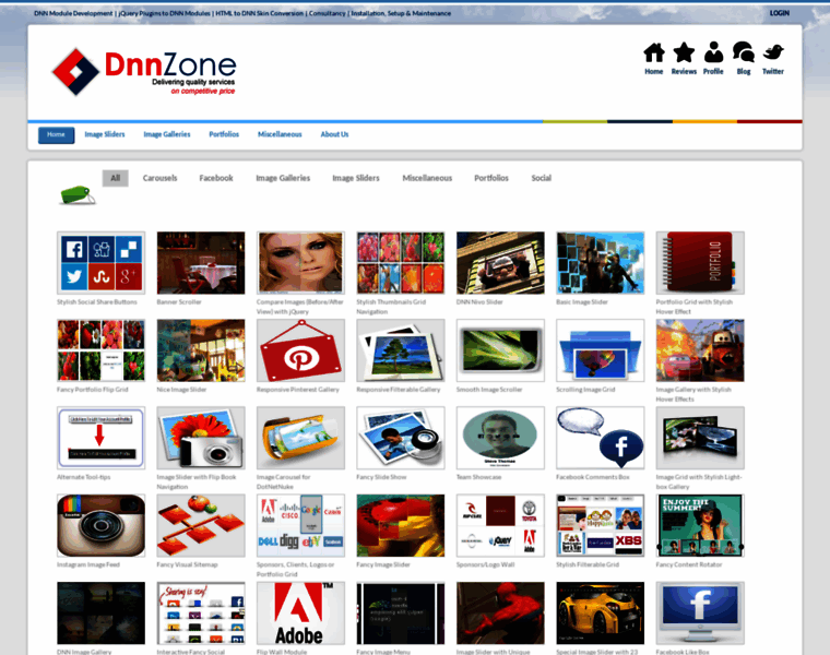 Dnnzone.com thumbnail