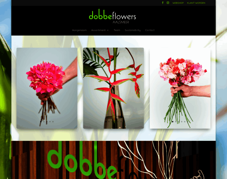 Dobbeflowers.nl thumbnail