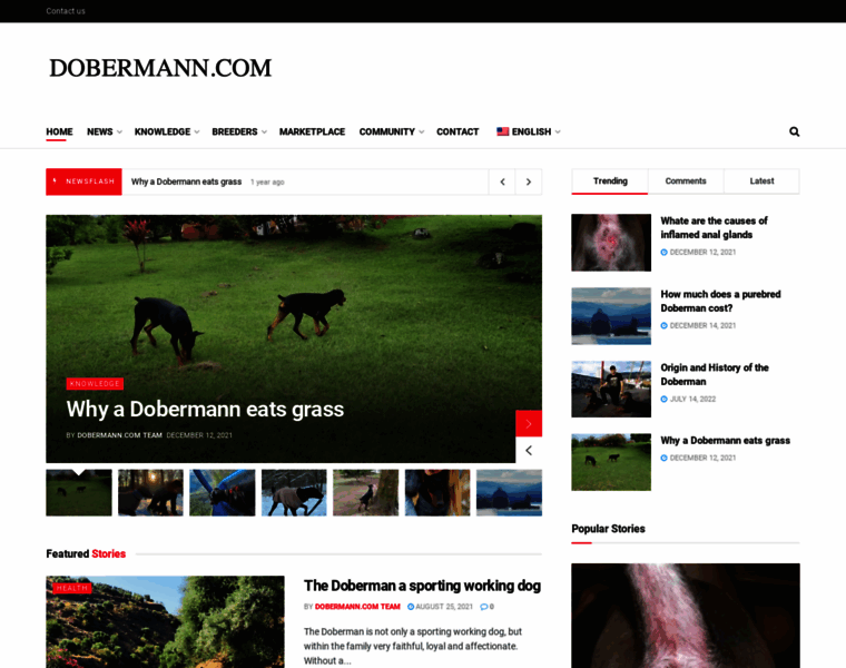 Dobermann.com thumbnail